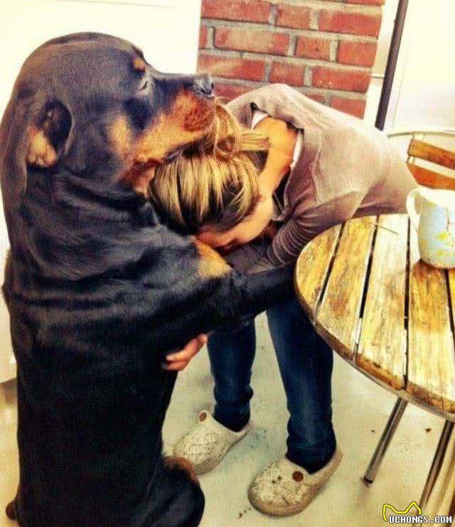 兽医:太多人得了这些病,只因养了狗