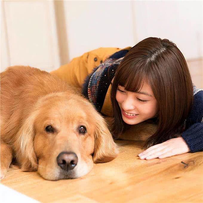 兽医:太多人得了这些病,只因养了狗