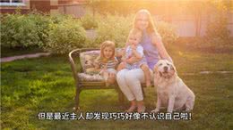 狗狗追着尾巴转圈圈，转了几十圈后一脸迷茫，主人：我是谁?