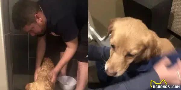 半夜下楼看到一只陌生狗狗出现在眼前,屋主当场吓坏:你哪来的?