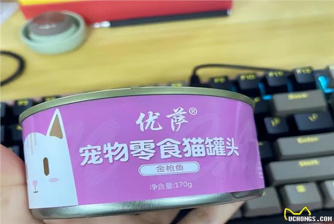 猫圈也有鄙视链，土猫比不上宠物猫?拜托!颜值、技能哪点也不输