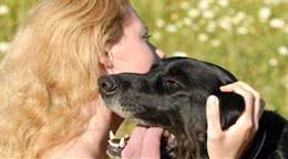 帮狗狗洗澡，有什么误区不能犯?