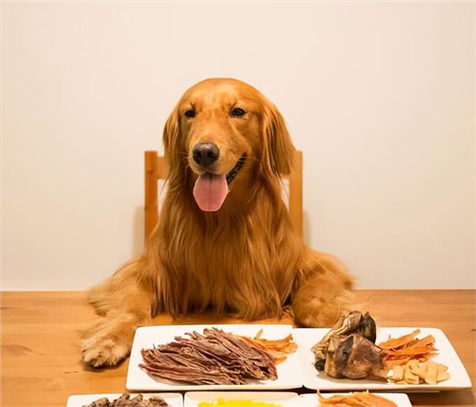 家里有心脏病的狗狗，一定要看!这些行为如同慢性杀狗