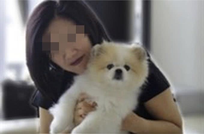 宠物狗被感染新型冠状病毒香港专家:被感染不等于可传染