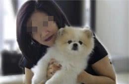 宠物狗被感染新型冠状病毒香港专家:被感染不等于可传染