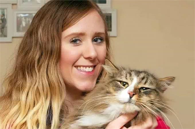 缅因猫不慎走丢，时隔一年被遣送回家时，体重已突破30斤!