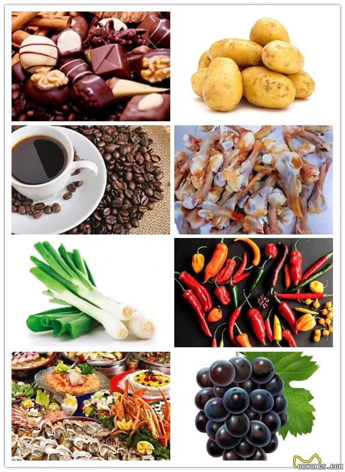 宠物门店常见问题之狗狗饲育篇