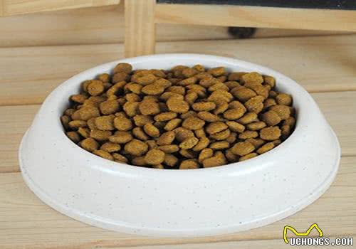 家有萌犬:幼犬都吃什么狗粮，口味因狗而异因此要掌握挑选的方法