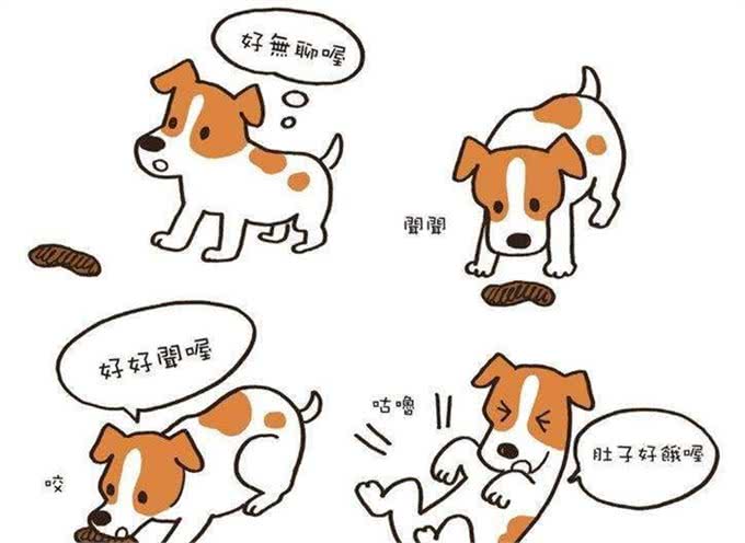 两个月大的狗狗，居然吃自己的粪便，我很肯定不是因为饥饿