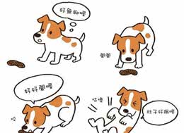 两个月大的狗狗，居然吃自己的粪便，我很肯定不是因为饥饿