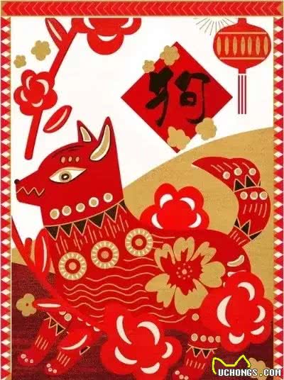 别再被误解!属狗人财运亨通秘诀，让你远离小人，迈向辉煌!