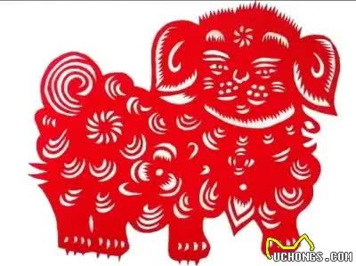 别再被误解!属狗人财运亨通秘诀，让你远离小人，迈向辉煌!