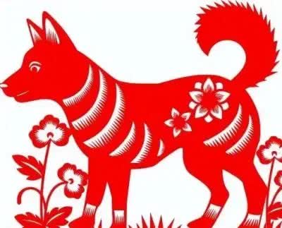 别再被误解!属狗人财运亨通秘诀，让你远离小人，迈向辉煌!