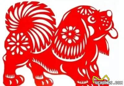 别再被误解!属狗人财运亨通秘诀，让你远离小人，迈向辉煌!