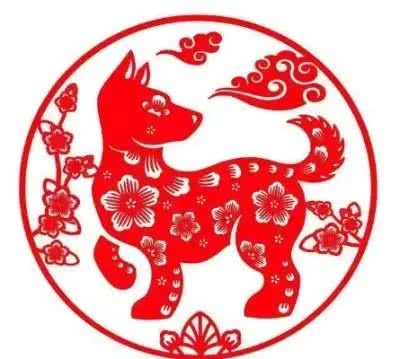 别再被误解!属狗人财运亨通秘诀，让你远离小人，迈向辉煌!