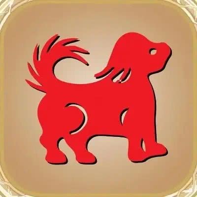 别再被误解!属狗人财运亨通秘诀，让你远离小人，迈向辉煌!