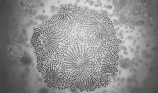 如果你家狗狗出现拉稀便血症状，别慌，解决办法在这里!