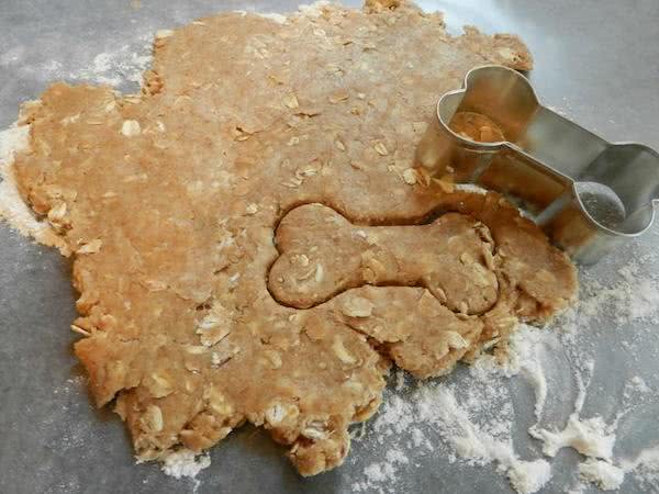 早餐吃一碗燕麦是最健康的生活方式?那对于狗狗来说，也是这样吗