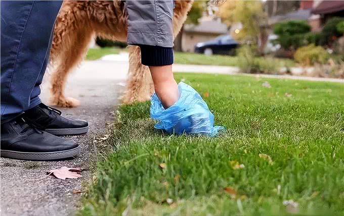 揭秘:狗狗的排便姿势，其实隐藏着它们的性格