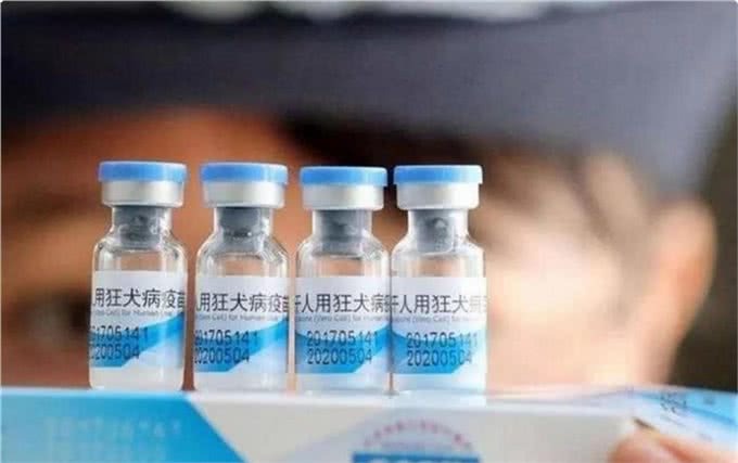 曾拍出3000万天价，一只换北京一套房，为何现在没人养藏獒了?