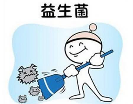 狗狗补充维生素的重要性不可忽视