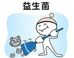 狗狗补充维生素的重要性不可忽视