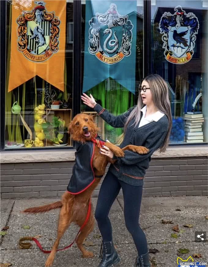加拿大华裔女生用魔法咒语训练自家狗!网友：太酷啦!