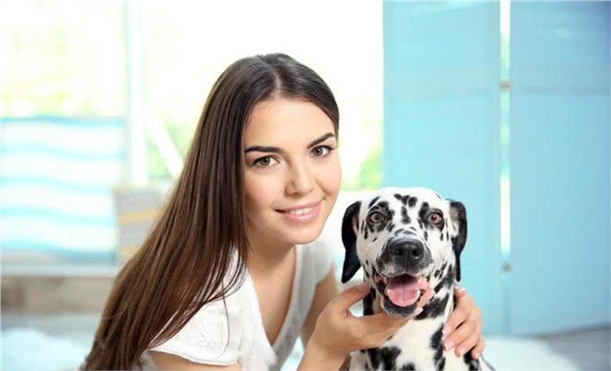 达尔马提亚犬就是斑点狗吗?