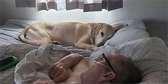 狗狗离世一个半小时后，主人也相继去世，彼此之间的羁绊让人泪目