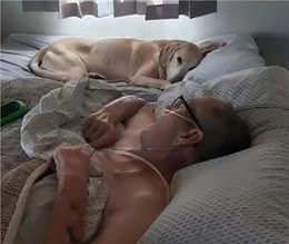 狗狗离世一个半小时后，主人也相继去世，彼此之间的羁绊让人泪目