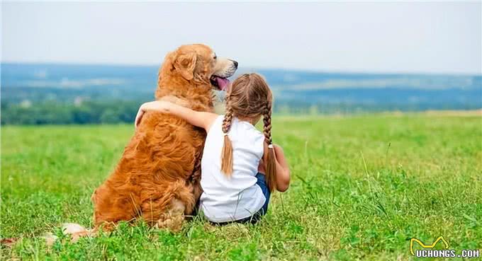 养狗后出现这7个病症，说明病得不轻