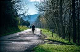 遛狗好处多会遛才双赢遛狗宝典来帮你
