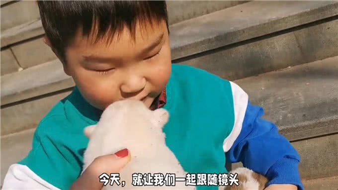 小伙捡到一只小奶狗，性格特别活波，慢慢发现小狗身上很多惊喜