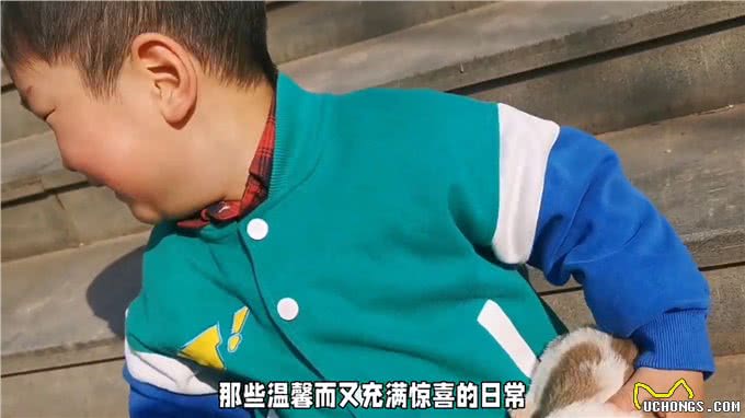 小伙捡到一只小奶狗，性格特别活波，慢慢发现小狗身上很多惊喜