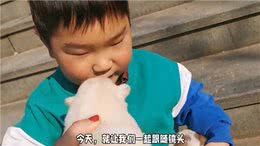 小伙捡到一只小奶狗，性格特别活波，慢慢发现小狗身上很多惊喜