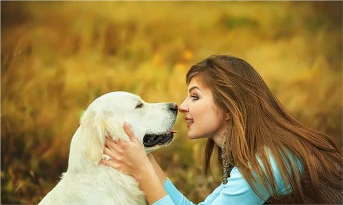 养狗五年:细数养狗的好处&坏处，你想清楚了吗?