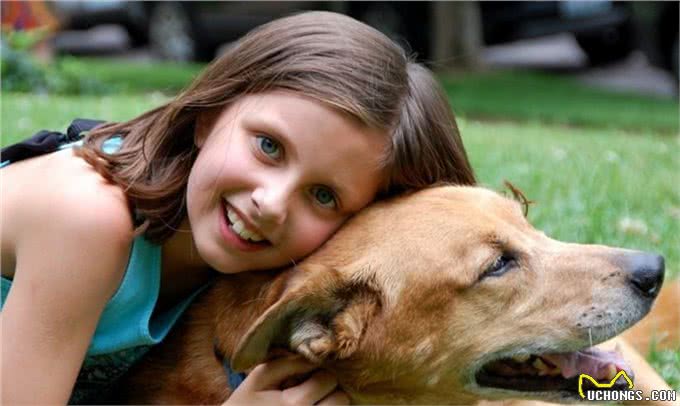 养狗五年:细数养狗的好处&坏处，你想清楚了吗?