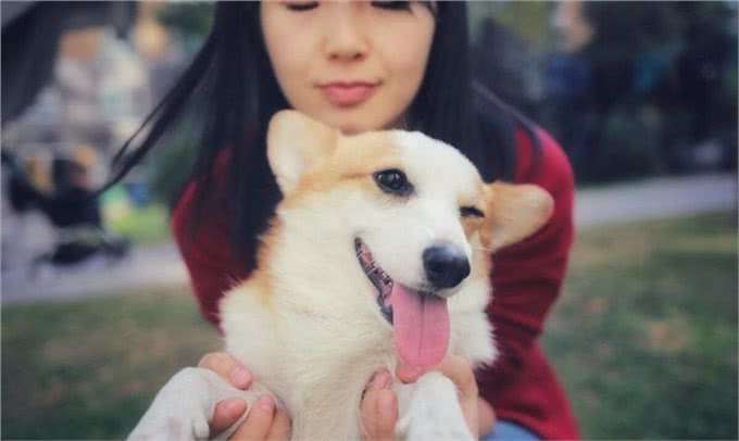 养狗五年:细数养狗的好处&坏处，你想清楚了吗?