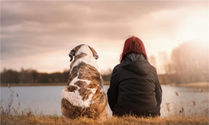 养狗五年:细数养狗的好处&坏处，你想清楚了吗?