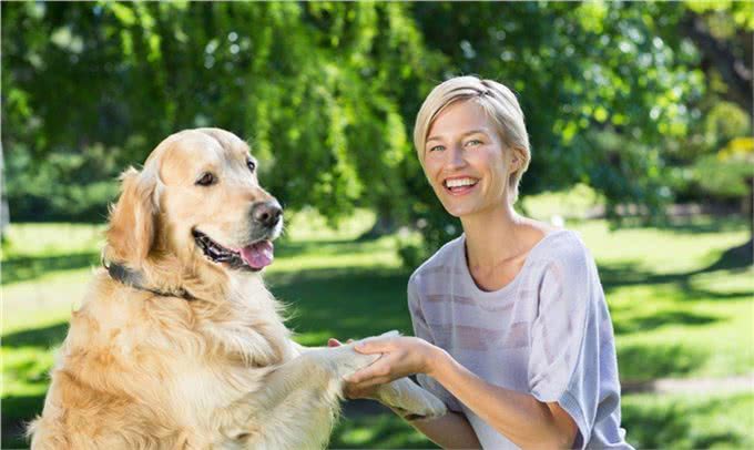 养狗五年:细数养狗的好处&坏处，你想清楚了吗?