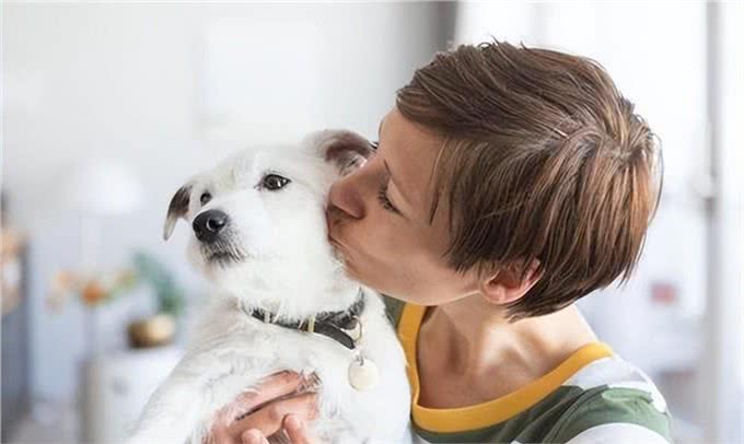 养狗五年:细数养狗的好处&坏处，你想清楚了吗?