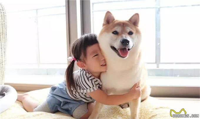 养狗五年:细数养狗的好处&坏处，你想清楚了吗?