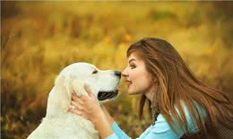 养狗五年:细数养狗的好处&坏处，你想清楚了吗?