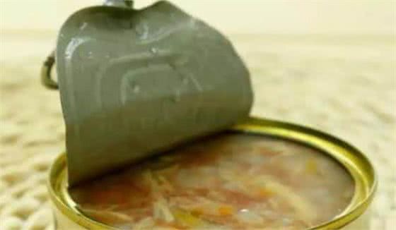 狗粮拌什么好?这些食物可以当做营养品来喂，铲屎官多注意