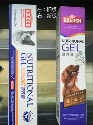 主人你知道我老了么?科学养护帮助狗狗安心度过老年时光