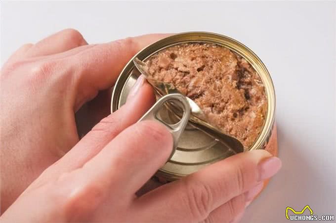 狗狗突然减少喝水?背后竟藏有4大原因!饲主务必警惕!