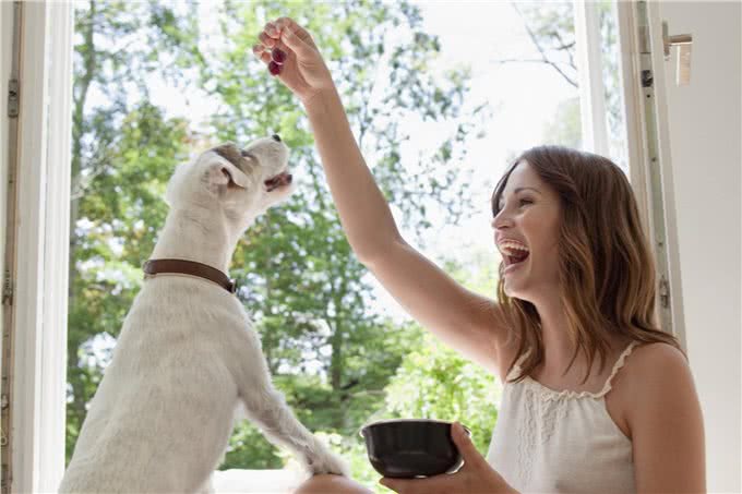 无论狗狗为什么乱吠，做好这2点，都可以改善狗狗乱叫