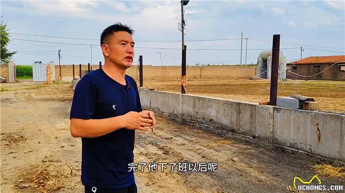 想养狗却没有场地，或者不会管的朋友们，福音来啦