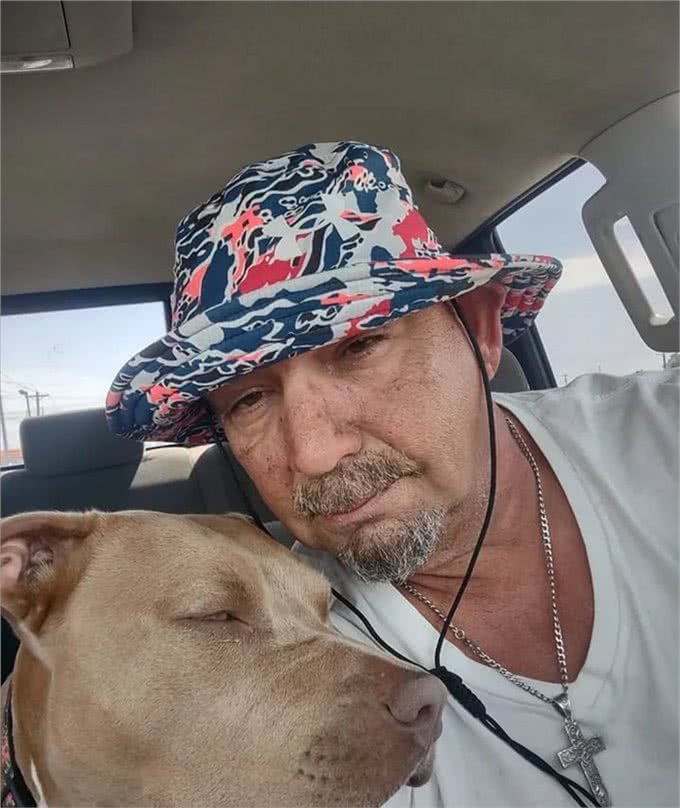 狗狗跟主人出海后丢失，竟自己游4.8公里回来，奇迹啊