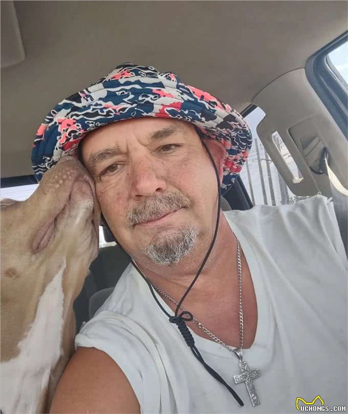 狗狗跟主人出海后丢失，竟自己游4.8公里回来，奇迹啊